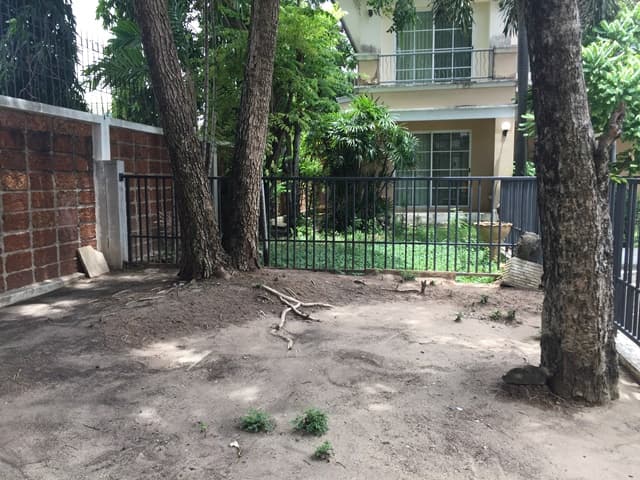 full_20190808180243.JPG