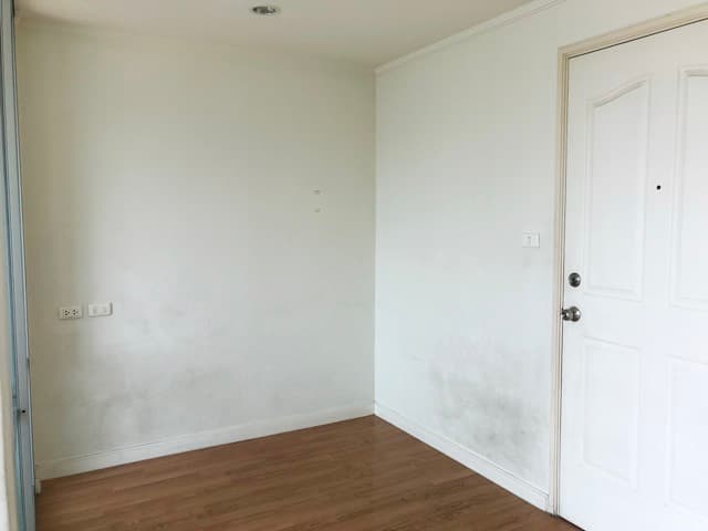 full_20190809175911.JPG