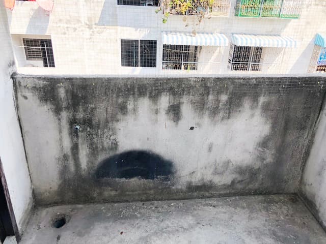 full_20190827153930.JPG