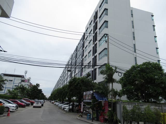full_20190911150145.JPG