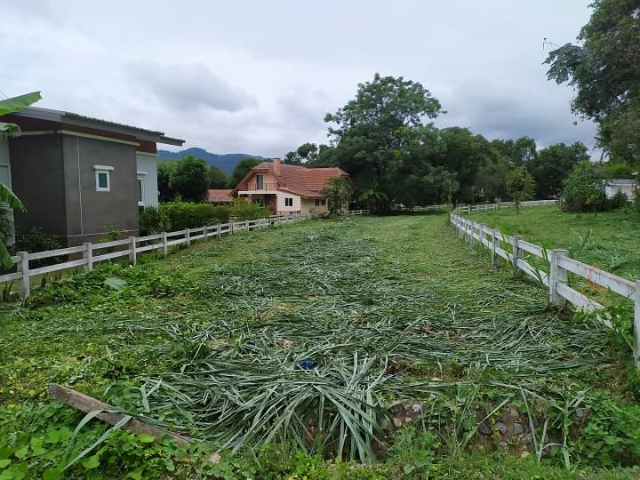 full_20190917154119.jpg