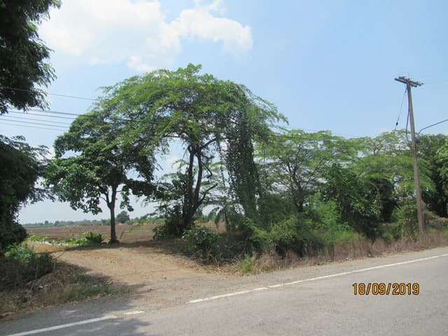 full_20190919100621.JPG