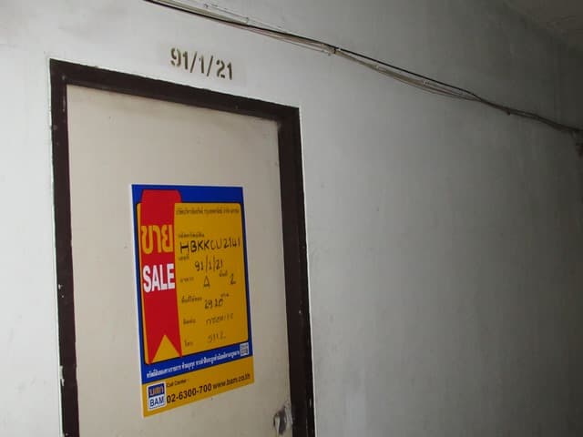 full_20190920134413.JPG