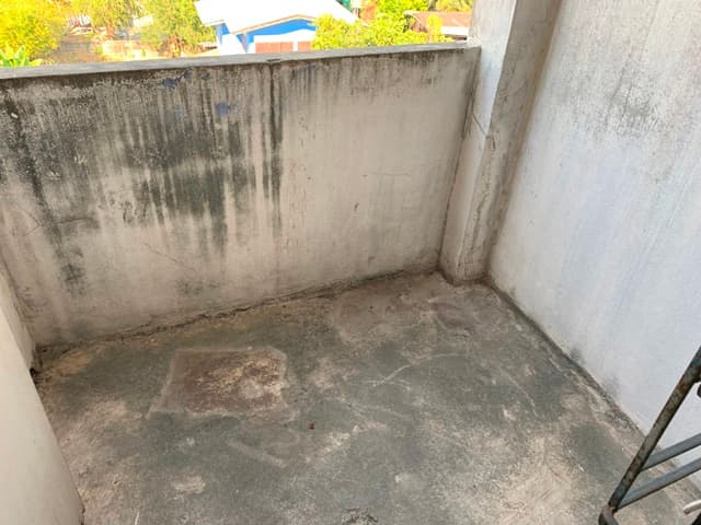 full_20190920160558.JPG