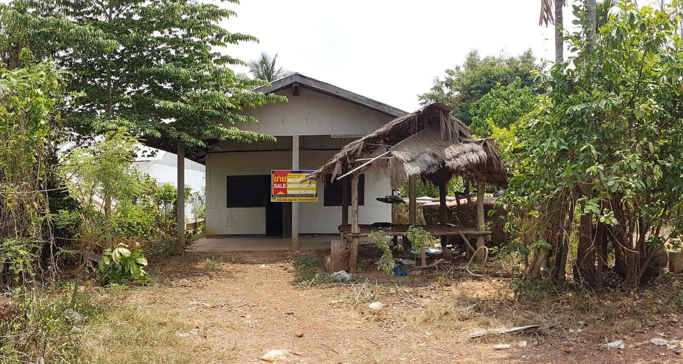 full_20190926161118.jpg