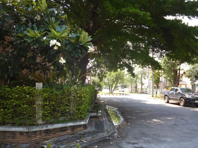 full_20191001084134.JPG