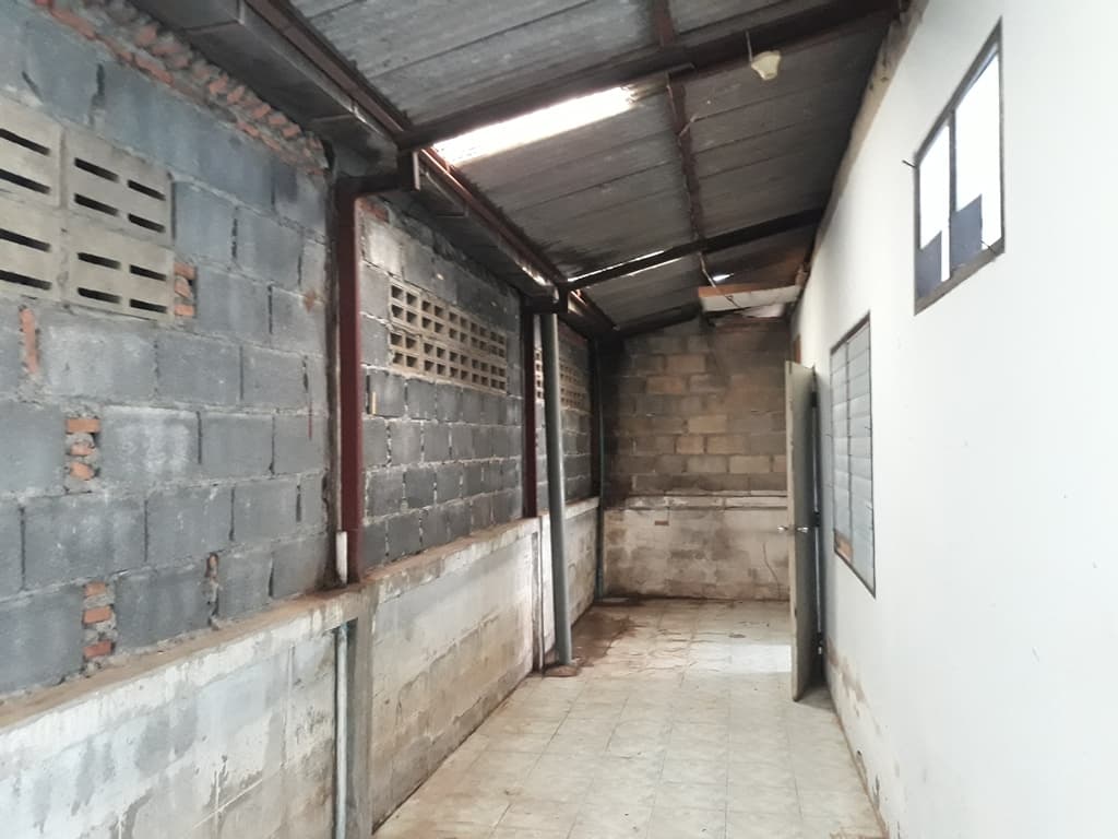 full_20191003155719.jpg