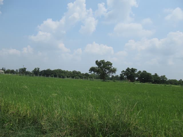 full_20191004161302.JPG