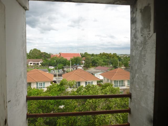 full_20191106075638.JPG