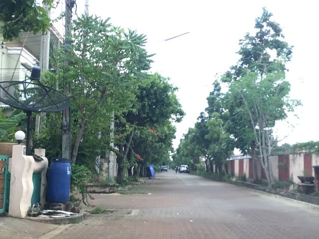full_20191107105052.JPG