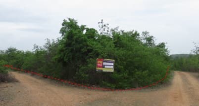 full_20200106153556.jpg