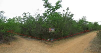full_20200106154545.jpg