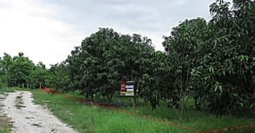full_20200109145715.jpg