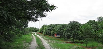 full_20200109152952.jpg