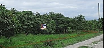 full_20200109153325.jpg