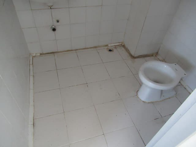 full_20200204145307.jpg
