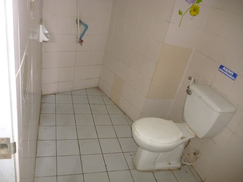 full_20200204153758.jpg