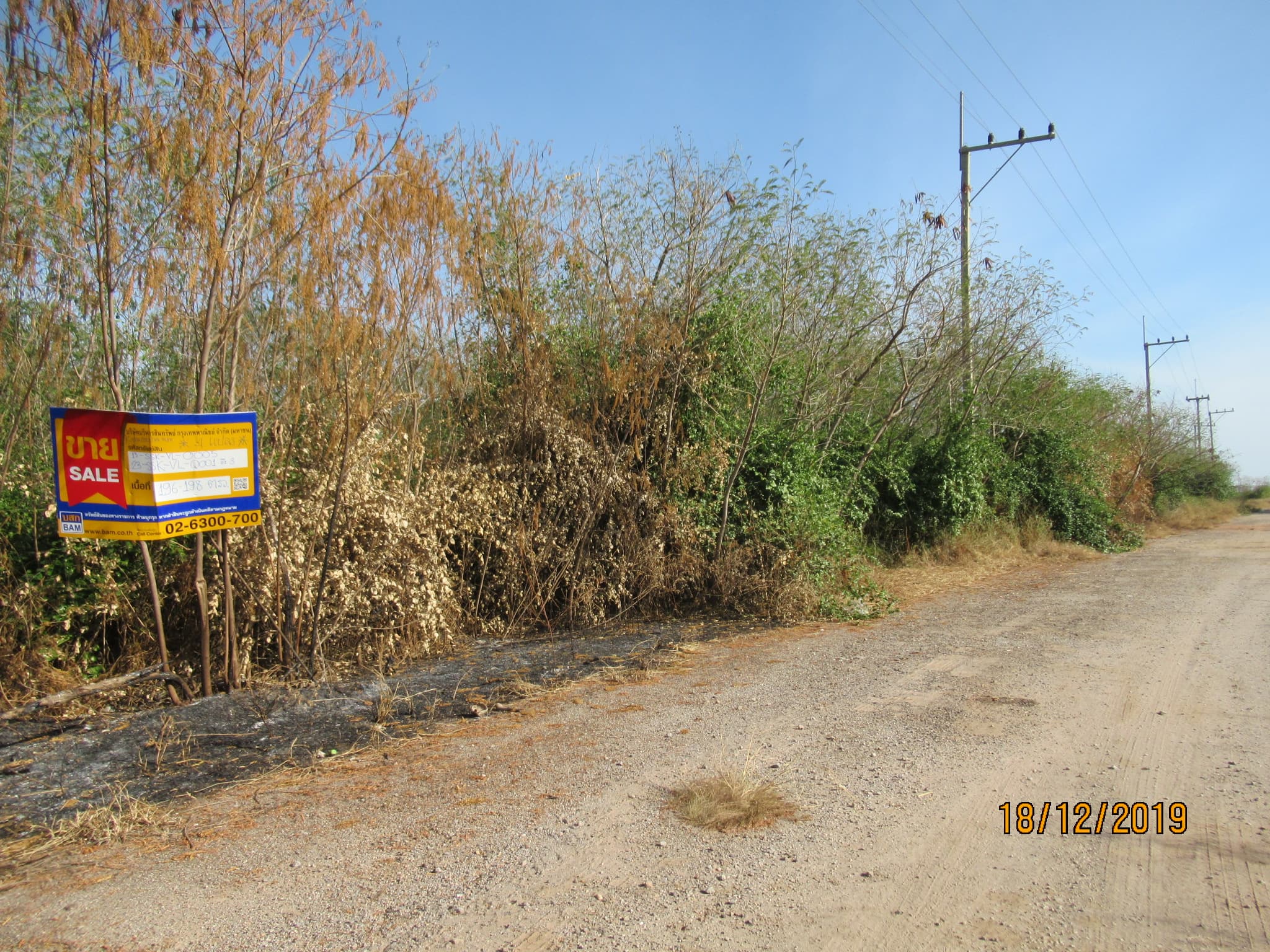 full_20200211145615.jpg