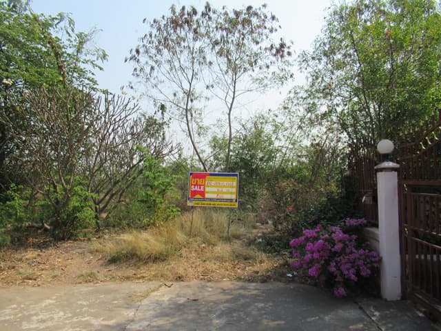 full_20200212152514.jpg