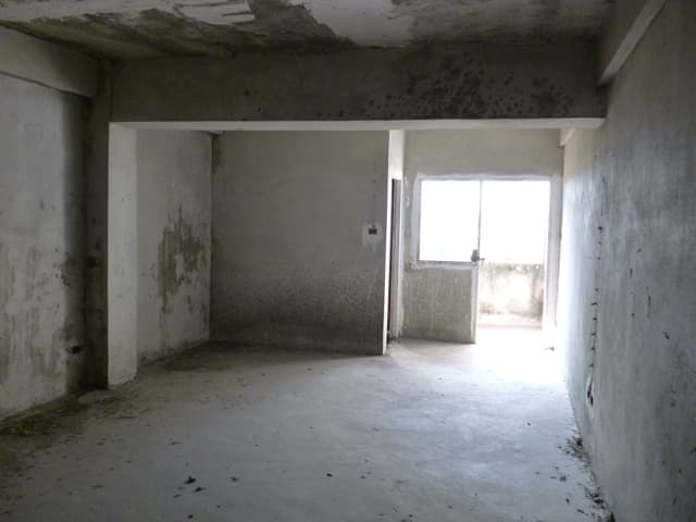 full_20200313175046.jpg