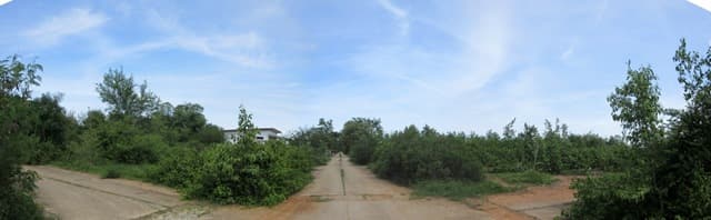 full_20200331084220.jpg