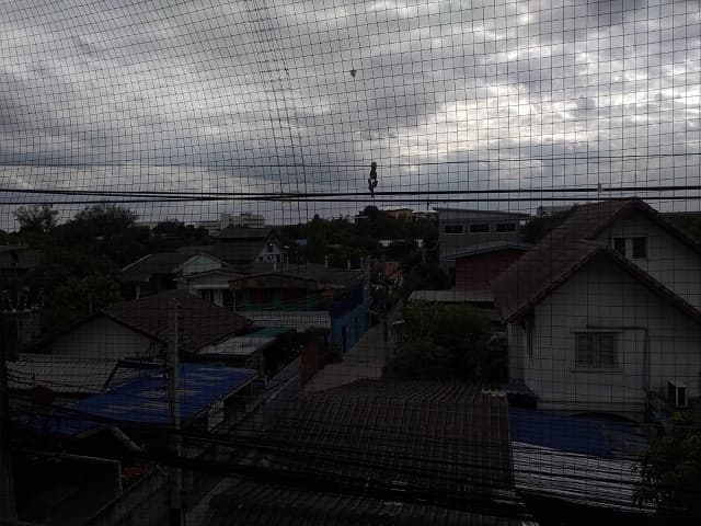 full_20200410140643.jpg