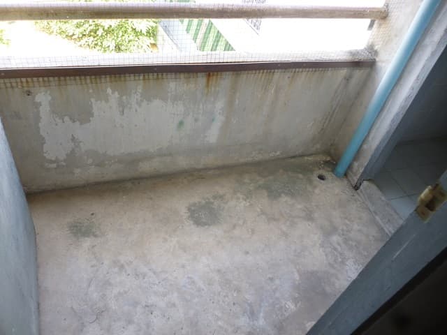 full_20200411202349.jpg