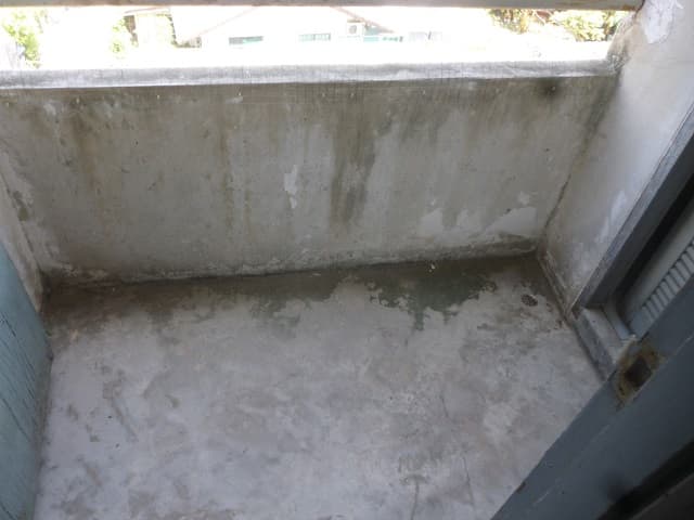 full_20200412184612.jpg