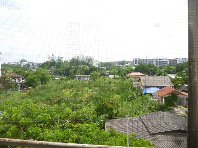 full_20200418134836.jpg