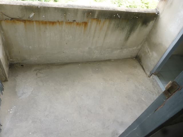 full_20200418135418.jpg