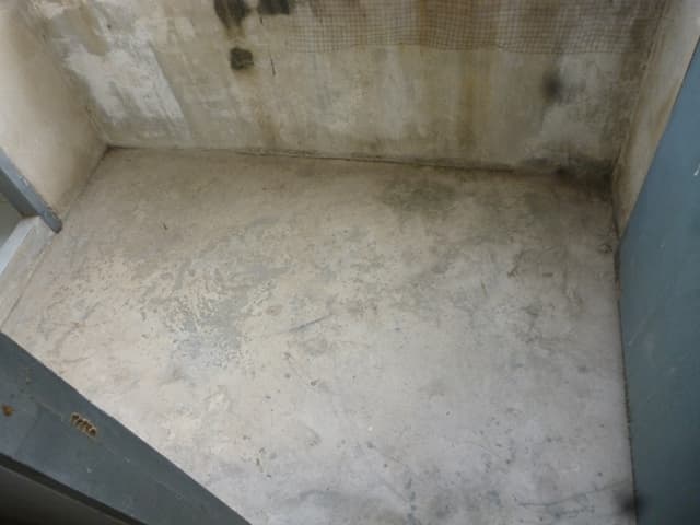 full_20200419113101.jpg