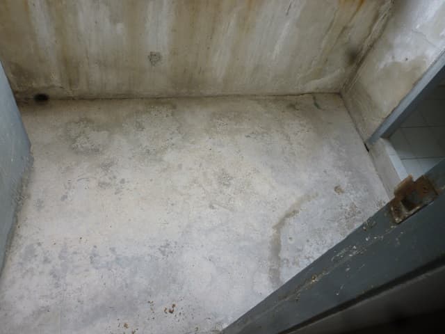full_20200420092839.jpg