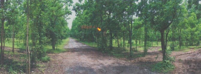 full_20200420151501.jpg