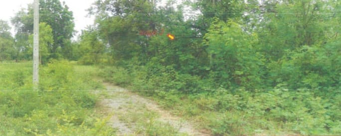 full_20200420151509.jpg