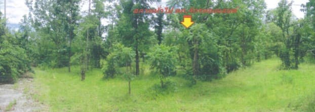 full_20200421111019.jpg