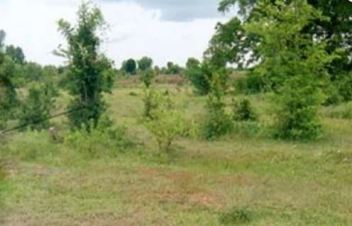 full_20200421114514.jpg