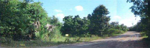 full_20200422153241.jpg