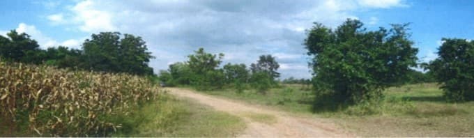 full_20200423145242.jpg