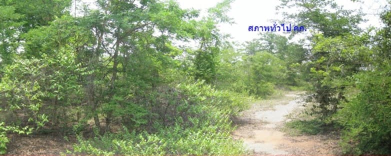 full_20200423161556.jpg