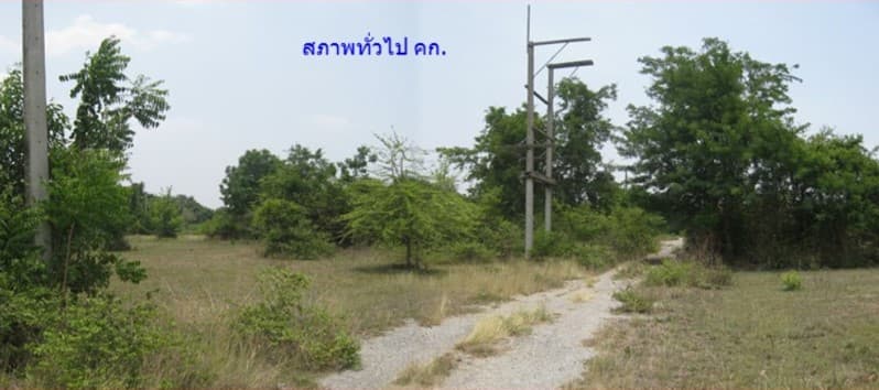 full_20200423161600.jpg
