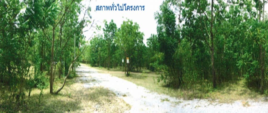 full_20200424135208.jpg