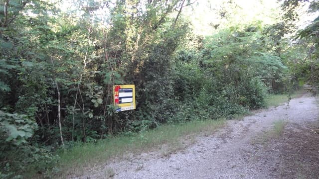 full_20200528094812.jpg