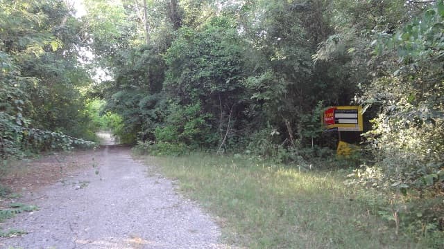full_20200528094822.jpg