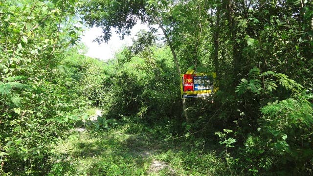 full_20200528095759.jpg