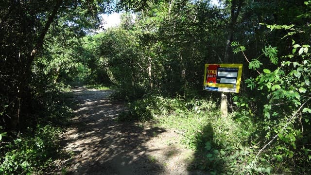 full_20200528142355.jpg