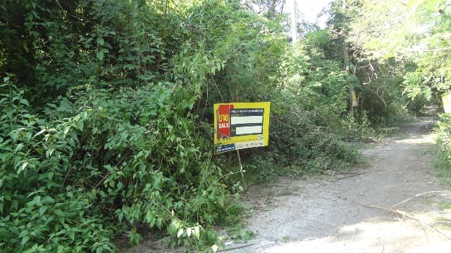 full_20200528153325.jpg