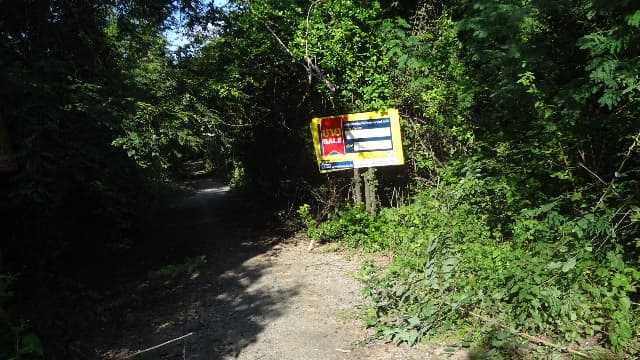 full_20200528153757.jpg