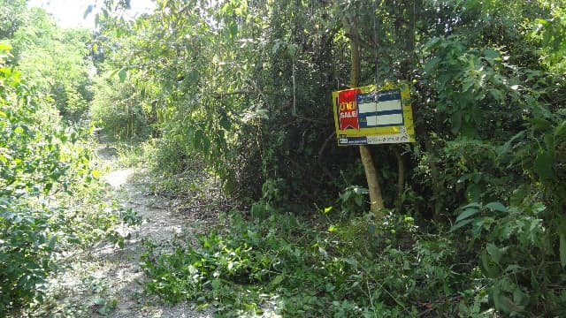 full_20200529091535.jpg