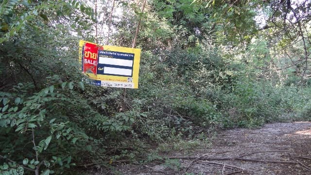full_20200529092226.jpg