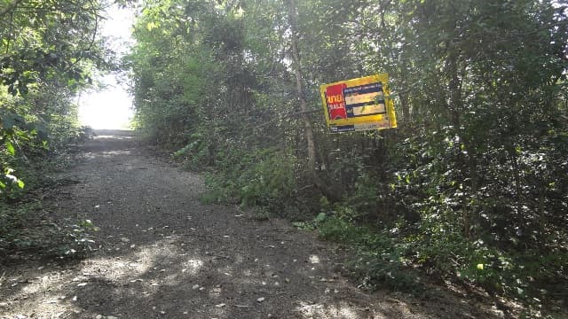 full_20200529092833.jpg